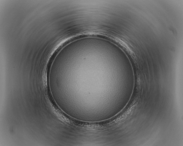 X0000112100934200908181322