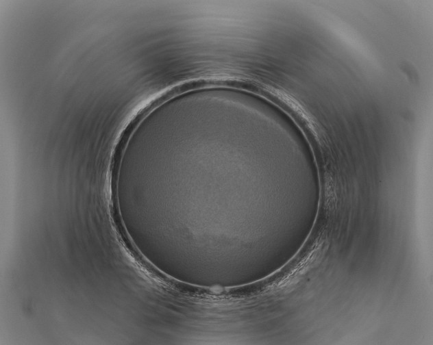 X0000112100935200908181322