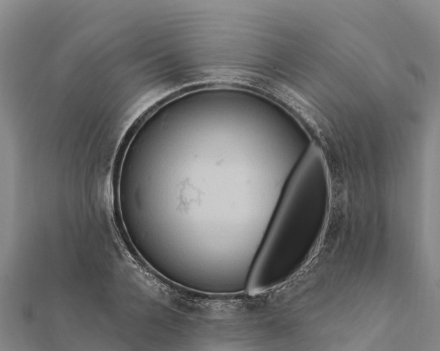 X0000112100936200908181322