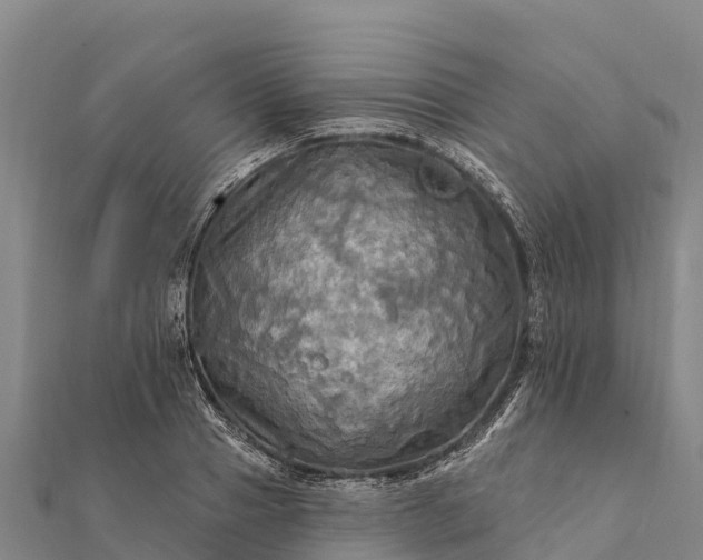 X0000112100937200908181322