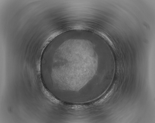 X0000112100938200908181322