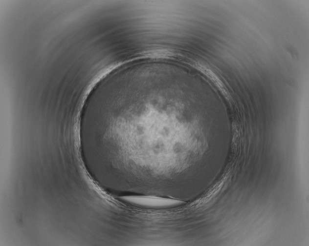 X0000112100939200908181322