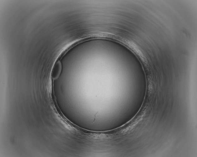 X0000112100940200908181322