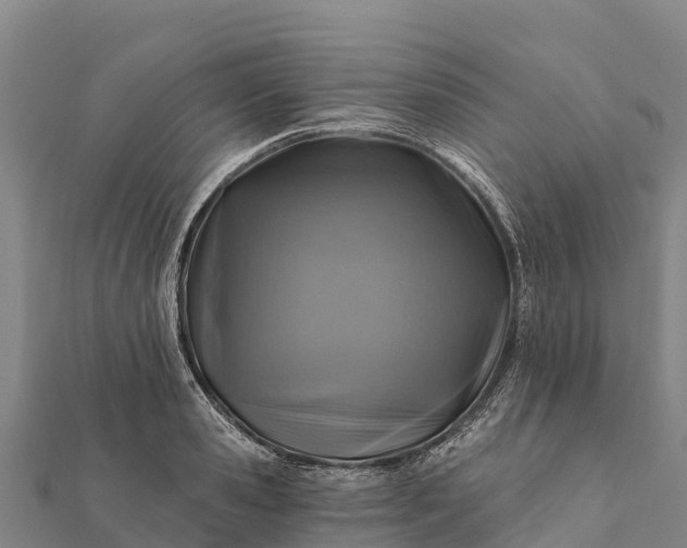 X0000112100941200908181322