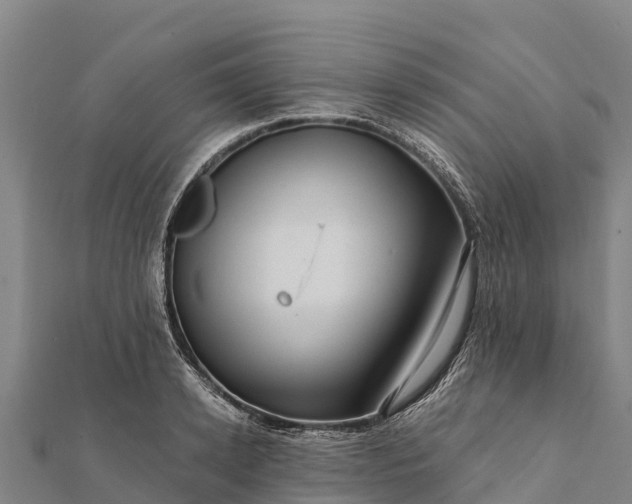 X0000112100942200908181322