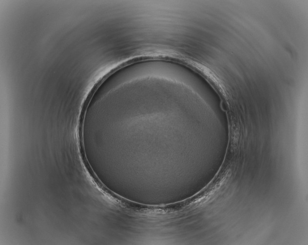 X0000112100943200908181322