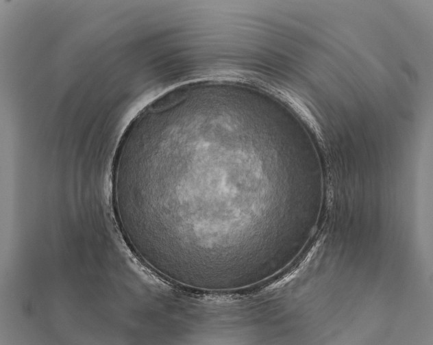 X0000112100944200908181322
