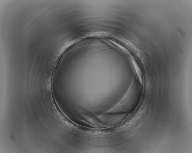 X0000112100945200908181322