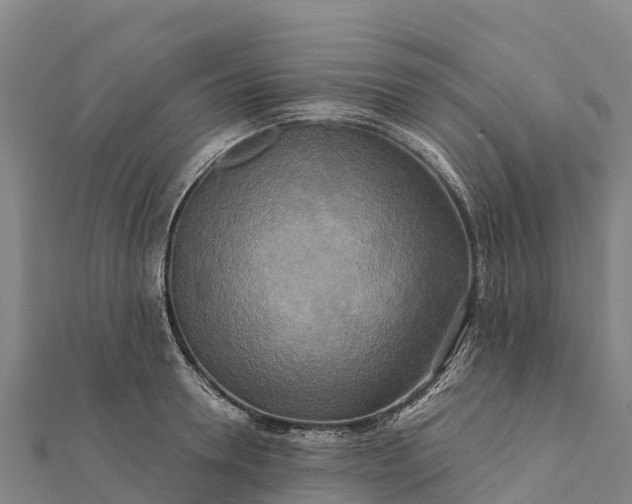 X0000112100946200908181322