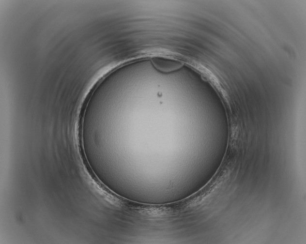 X0000112100947200908181322