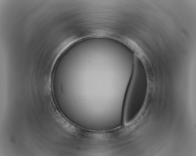 X0000112100948200908181322