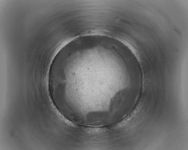 X0000112100949200908181322