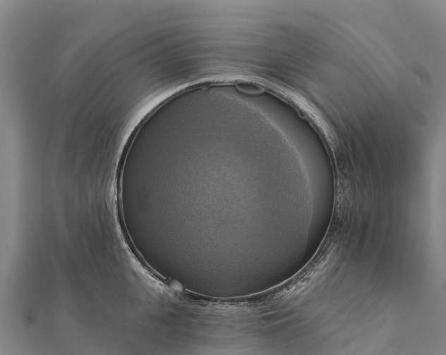 X0000112100951200908181323