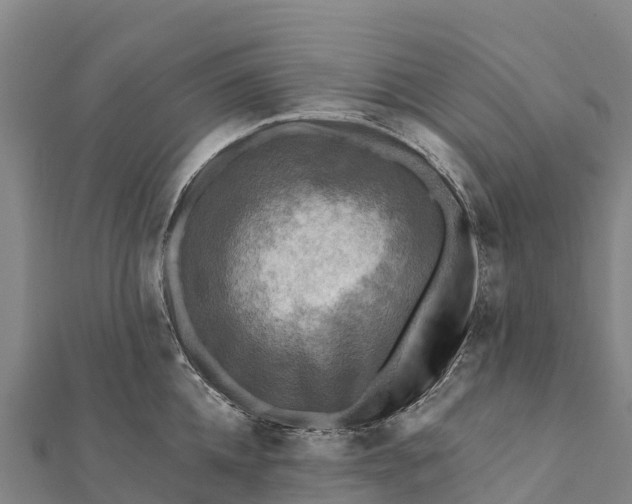 X0000112100952200908181323