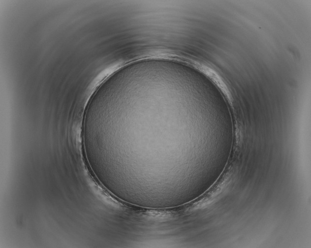 X0000112100954200908181323