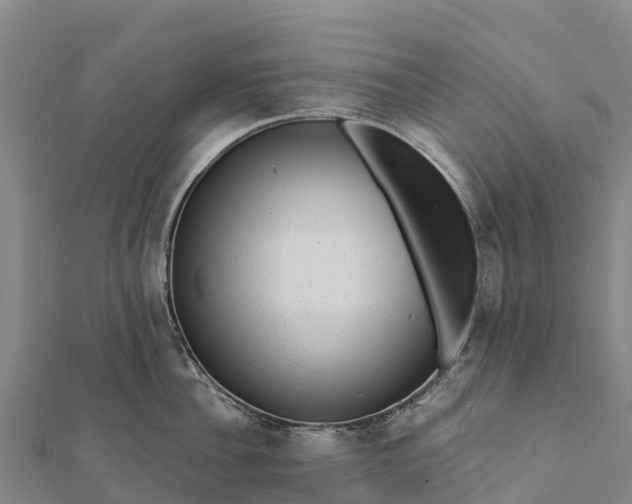 X0000112100956200908181323