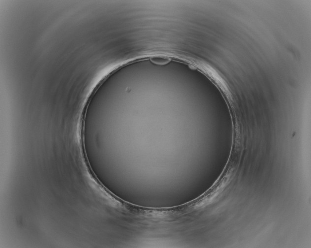 X0000112100958200908181323