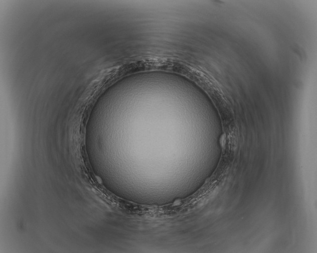 X0000112100961200908181322
