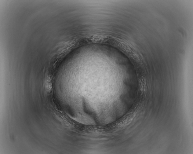 X0000112100962200908181322