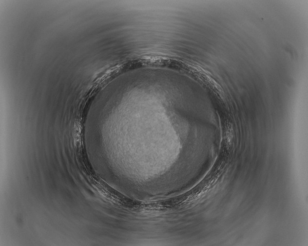 X0000112100964200908181322
