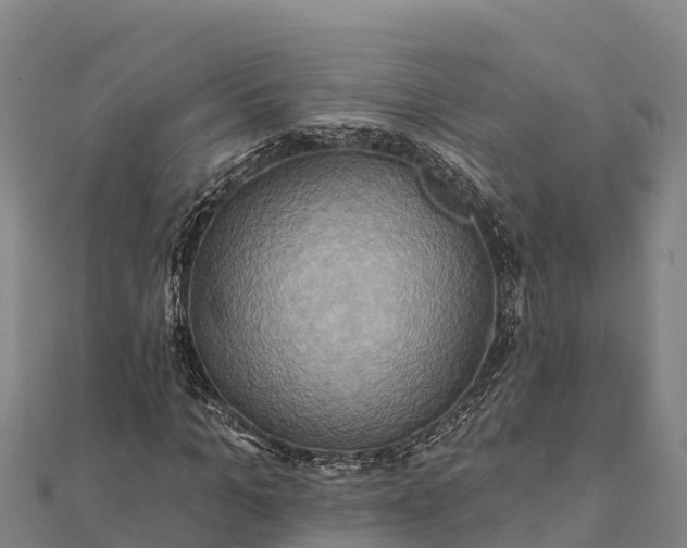 X0000112100965200908181322