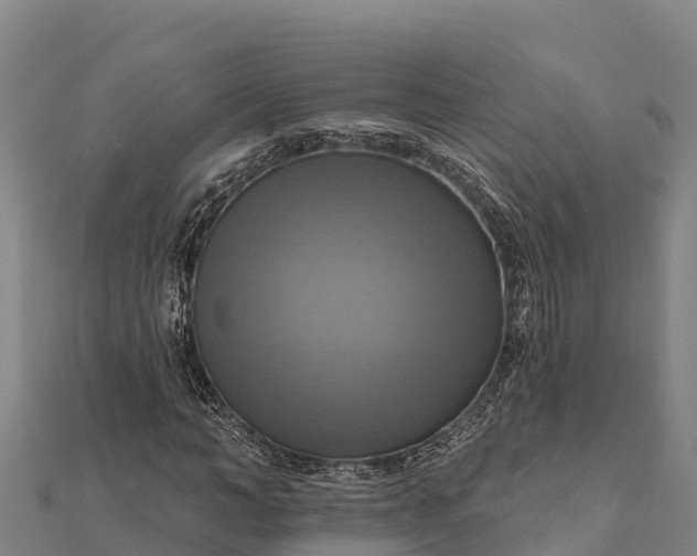 X0000112100966200908181322