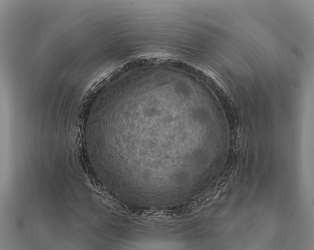 X0000112100967200908181322