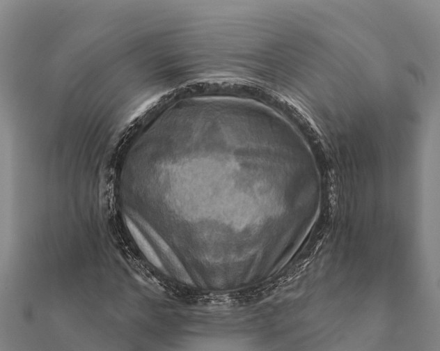 X0000112100968200908181322