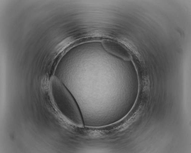 X0000112100969200908181322