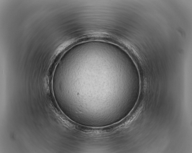 X0000112100970200908181322