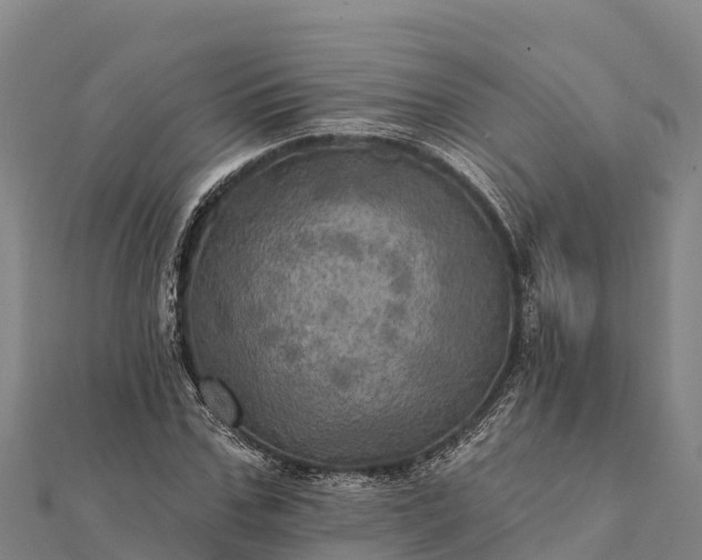 X0000112100971200908181322
