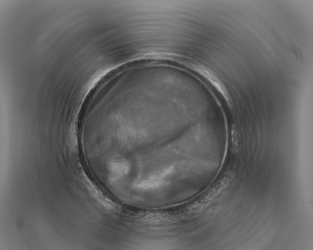 X0000112100972200908181322