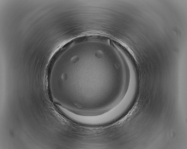 X0000112100973200908181322