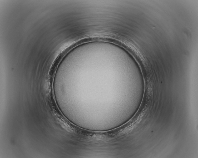 X0000112100974200908181322