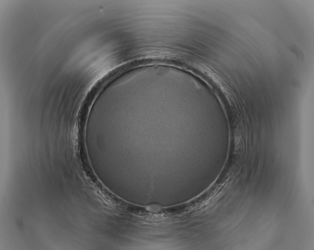 X0000112100975200908181322