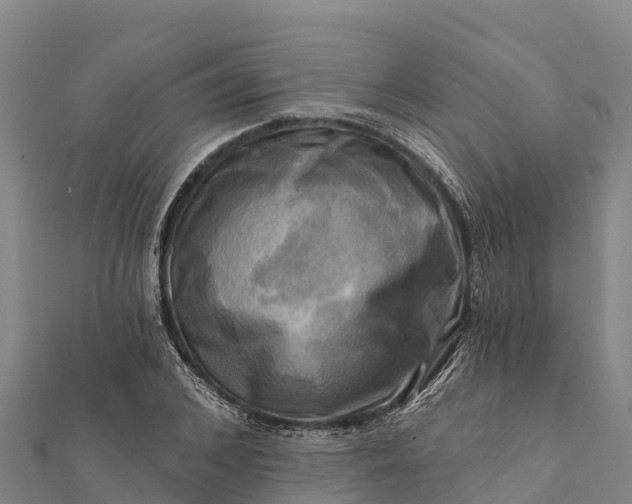 X0000112100976200908181322