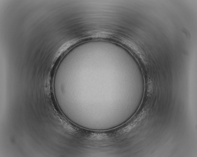 X0000112100978200908181322