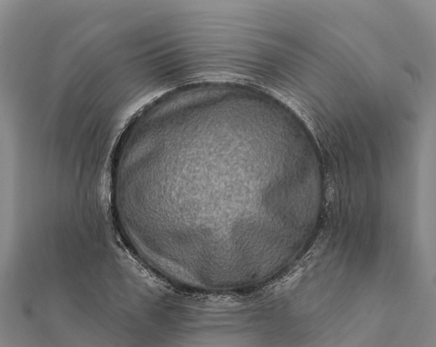 X0000112100979200908181322