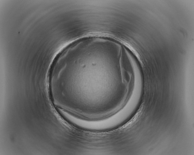 X0000112100981200908181322