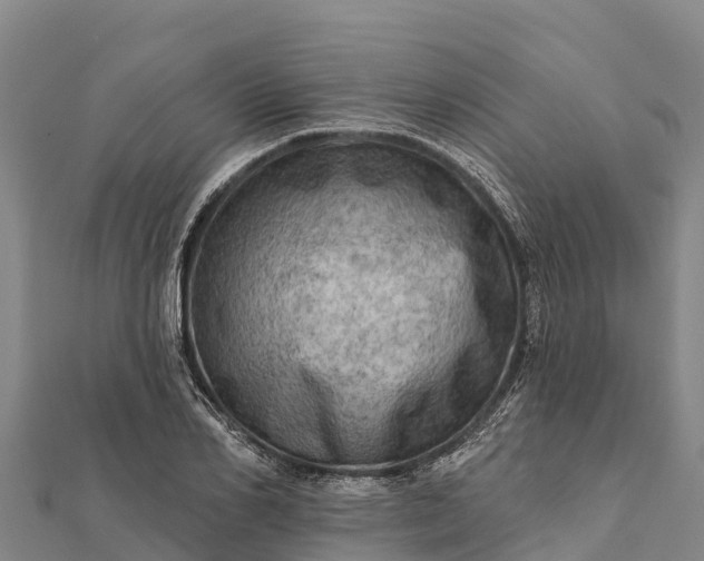 X0000112100982200908181322