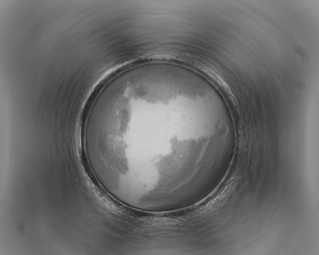 X0000112100984200908181322