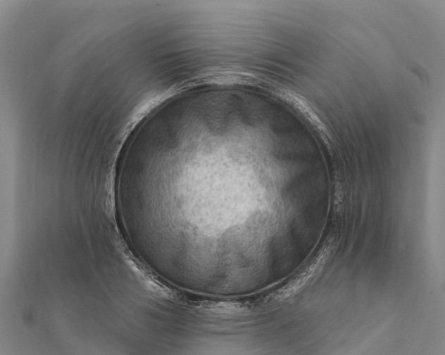 X0000112100986200908181322