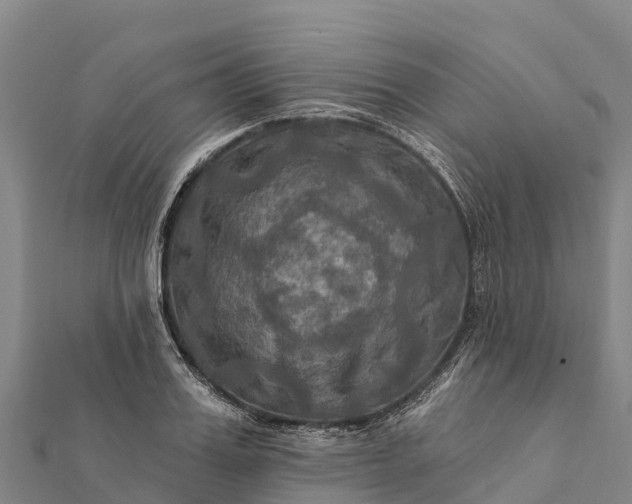 X0000112100987200908181321