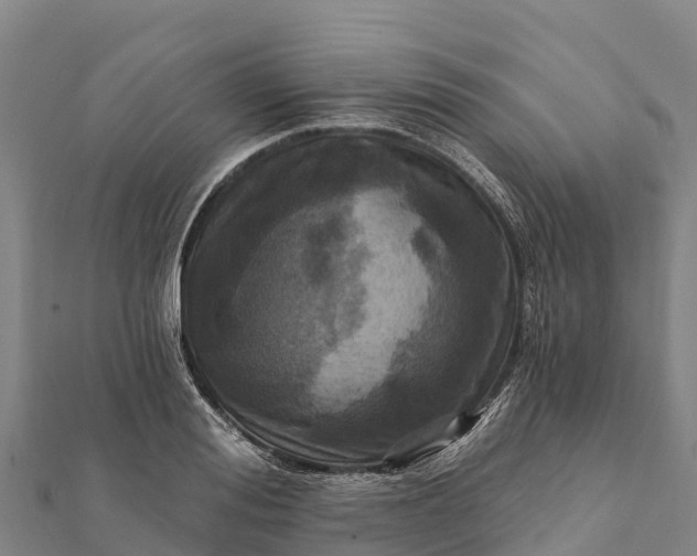 X0000112100988200908181321