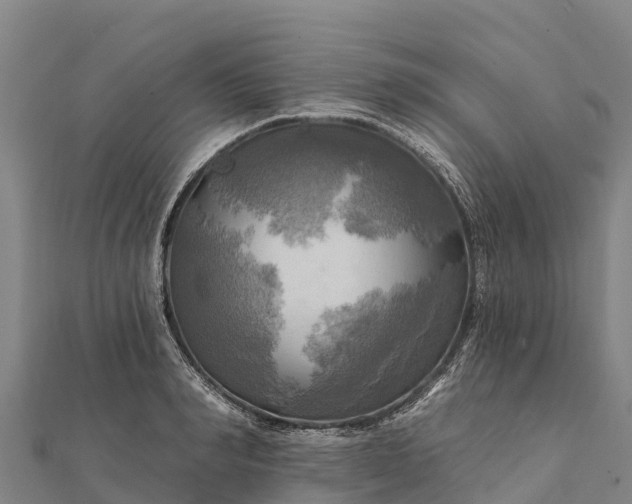 X0000112100990200908181321