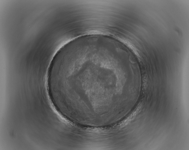 X0000112100991200908181321