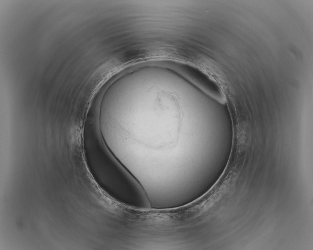 X0000112100993200908181321