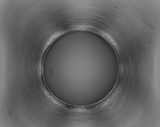 X0000112100994200908181321