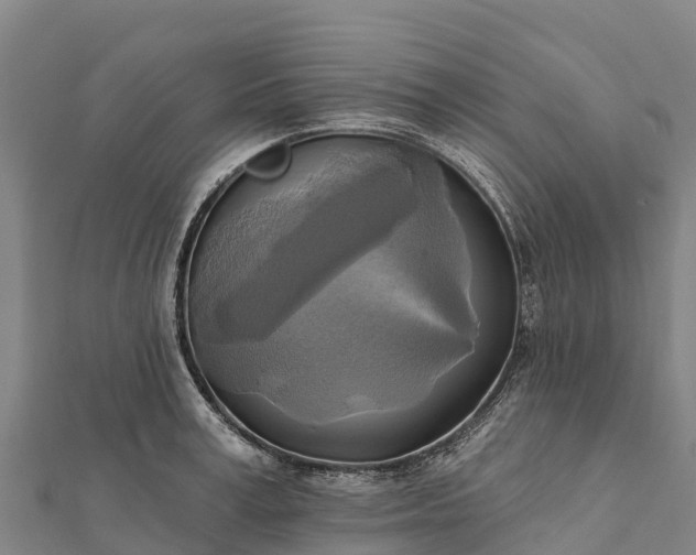 X0000112100995200908181321