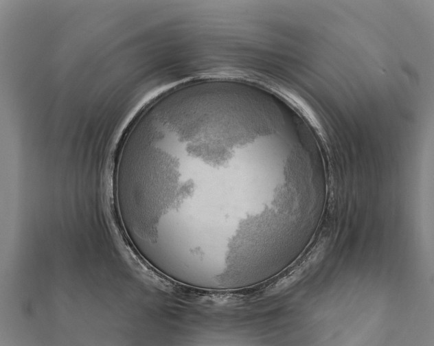 X0000112101000200908181321